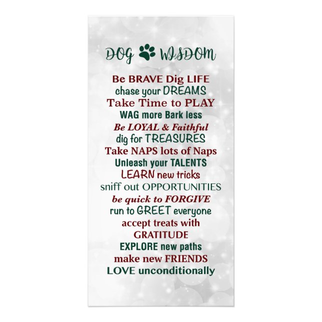 Dog Wisdom Quote Photo Print (Front)