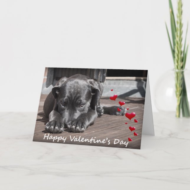 Dog wishing Happy Valentine's day with Hearts card (Front)