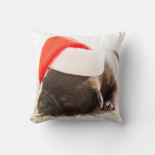 Dog with a New Years's Cap Cushion (Front)