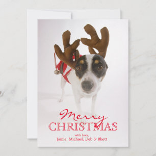 Dog With Antlers And Bell Holiday Card