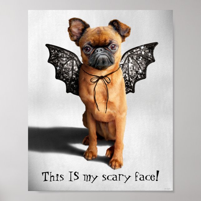 Dog With Bat Wings Poster (Front)