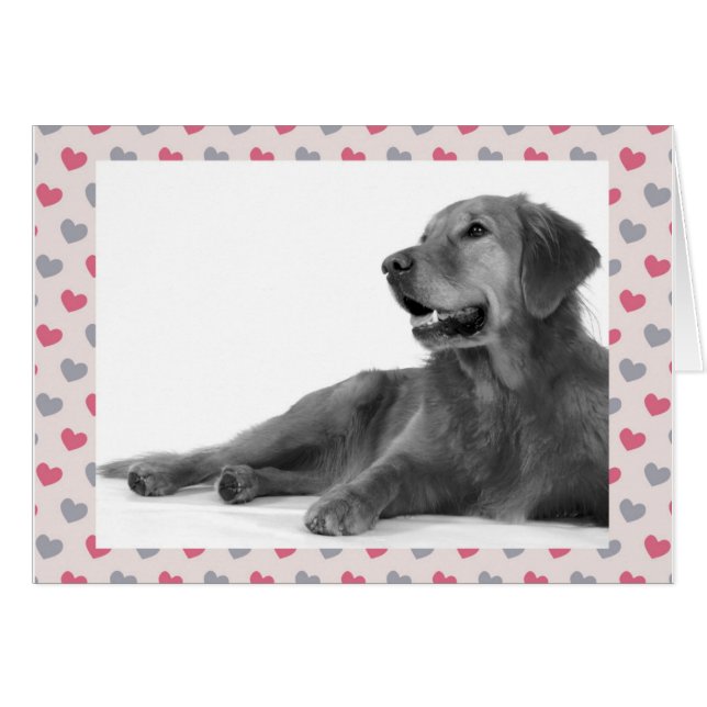Dog with beautiful hearts (Front Horizontal)
