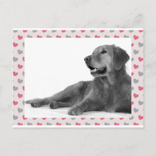 Dog with beautiful hearts postcard