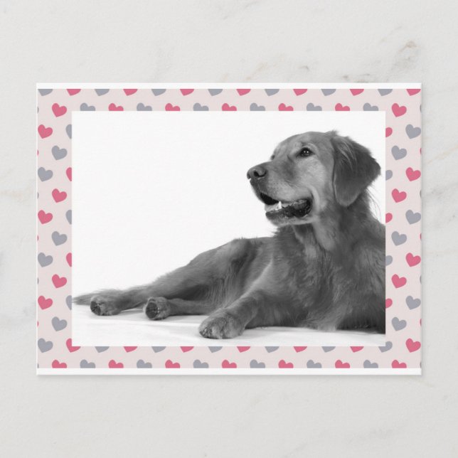 Dog with beautiful hearts postcard (Front)