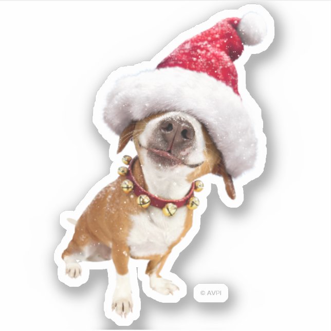 Dog With Big Santa Hat (Front)