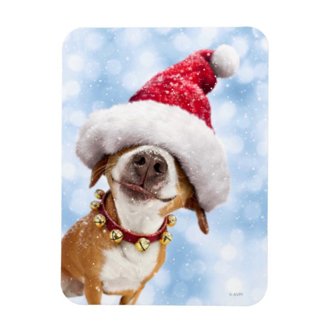 Dog With Big Santa Hat Magnet (Vertical)