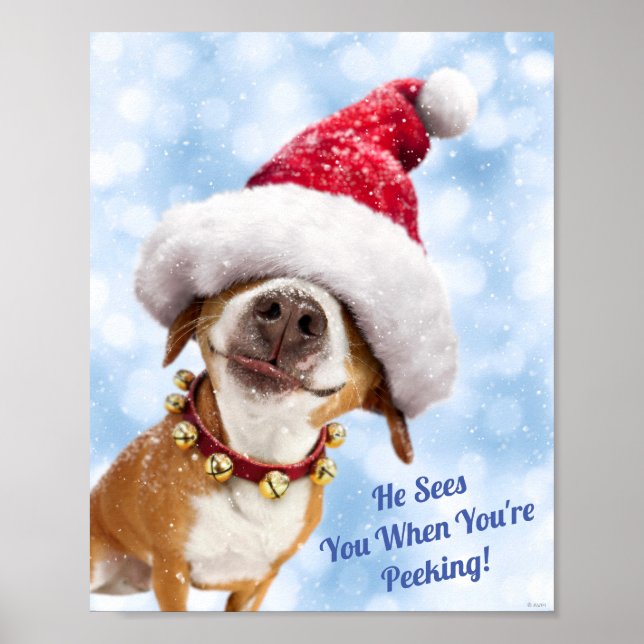 Dog With Big Santa Hat Poster (Front)