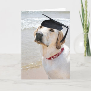Dog with Black Graduation Cap Card
