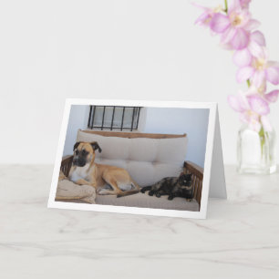 Dog with Cat on Bench Card