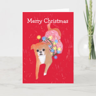 Dog with Christmas Lights Card