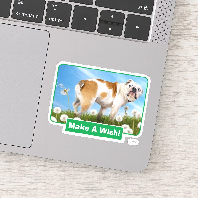 Dog With Dandelion (Detail)