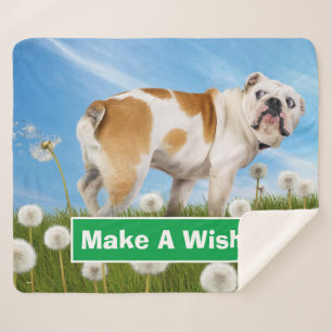 Dog With Dandelion Sherpa Blanket