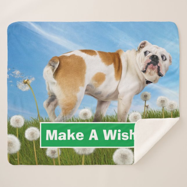 Dog With Dandelion Sherpa Blanket (Front (Horizontal))