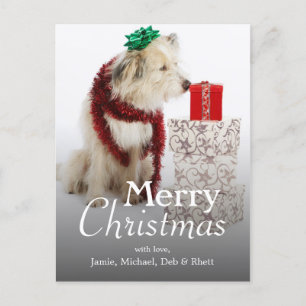 Dog with Decorations and Presents Holiday Postcard