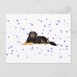 Dog with Falling purple Hearts Postcard