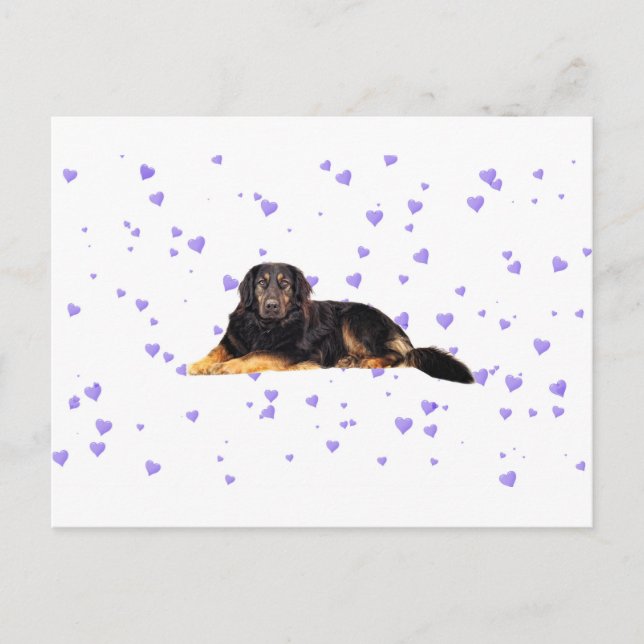 Dog with Falling purple Hearts Postcard (Front)