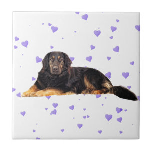 Dog with Falling purple Hearts Tile