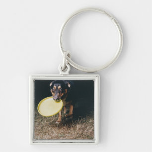 Dog With Frisbee in Mouth Key Ring