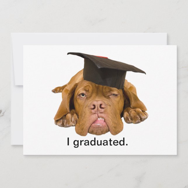 dog with graduation hat invitation (Front)