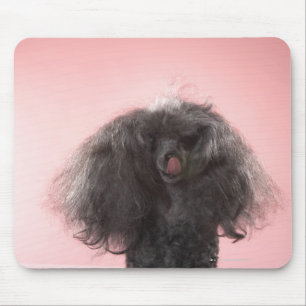 Dog with hair in front of face and tongue out mouse mat