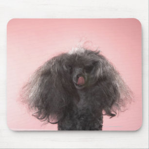 Dog with hair in front of face and tongue out mouse mat