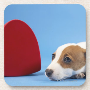 Dog with heart coaster