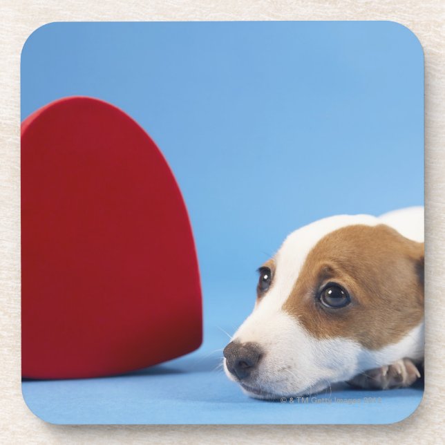 Dog with heart coaster (Front)