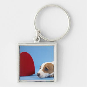 Dog with heart key ring