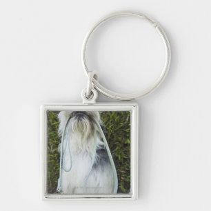 Dog with leash in mouth key ring