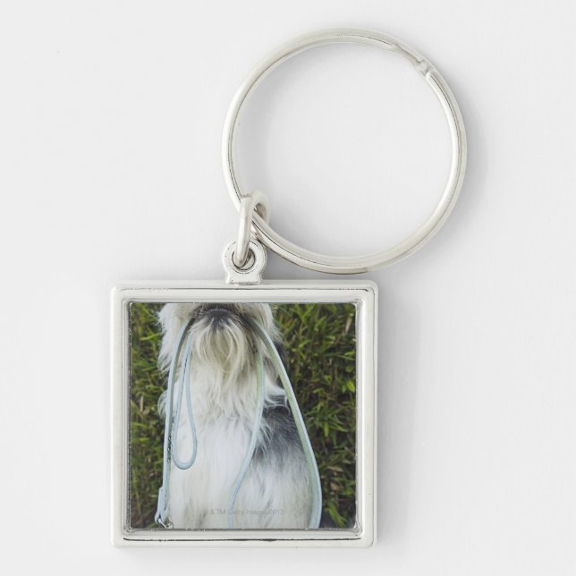 Dog with leash in mouth key ring (Front)