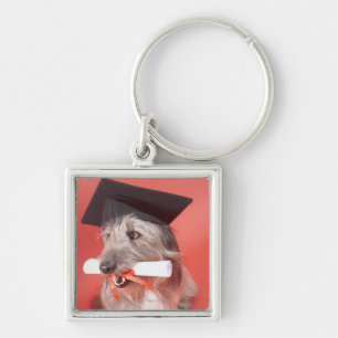 Dog with mortarboard and diploma key ring