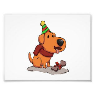Dog with party hat cartoon   choose back colour photo print