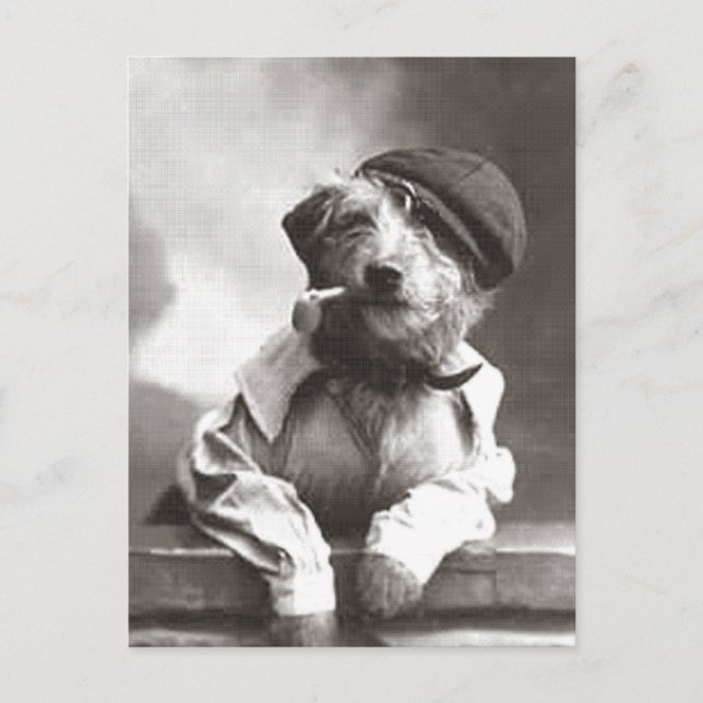 Dog With Pipe and Hat Postcard (Front)