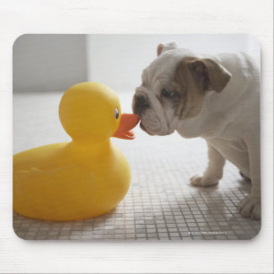 Dog with plastic duck mouse mat