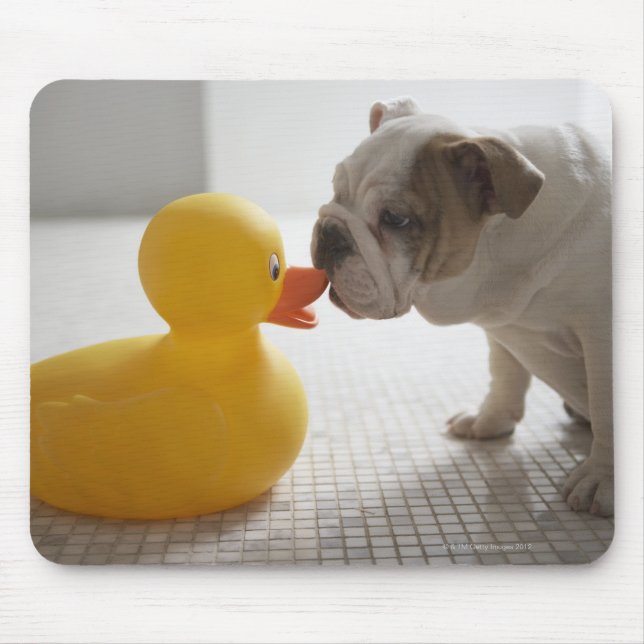 Dog with plastic duck mouse mat (Front)