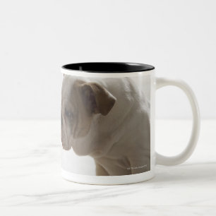 Dog with plastic duck Two-Tone coffee mug