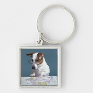 Dog with reading glasses studying map key ring