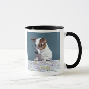 Dog with reading glasses studying map mug