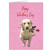 Dog with Rose Happy Valentine's Day Holiday
