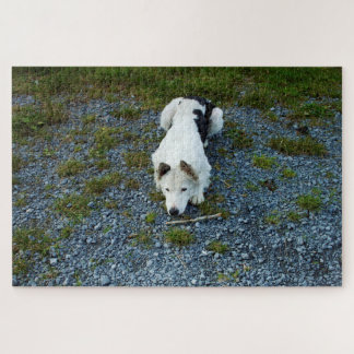 Dog with stick jigsaw puzzle