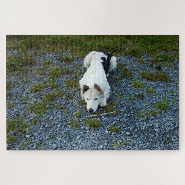 Dog with stick jigsaw puzzle (Horizontal)