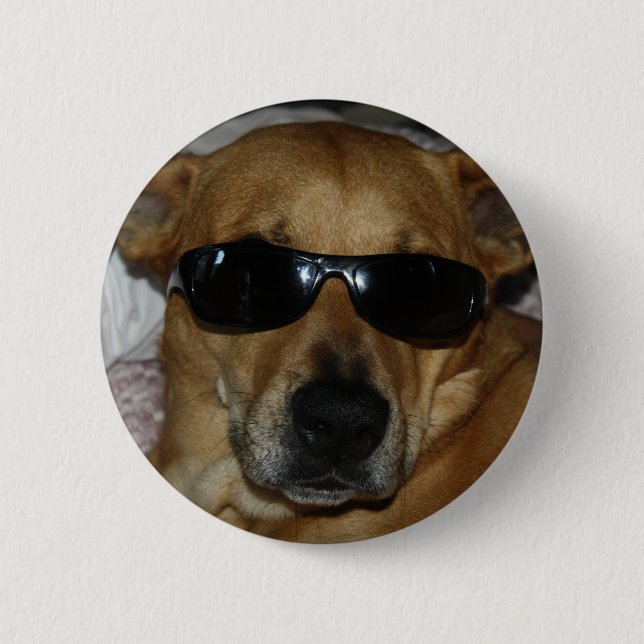 Dog with sunglasses 6 cm round badge (Front)