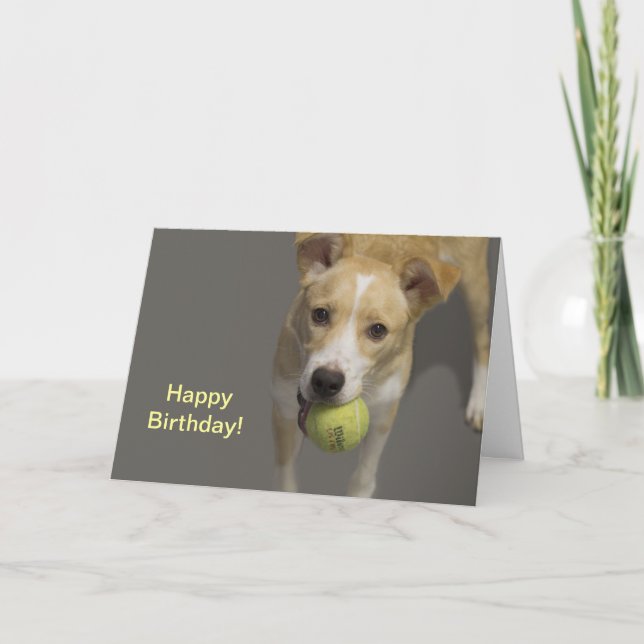 Dog With Tennis Ball Birthday Card (Front)