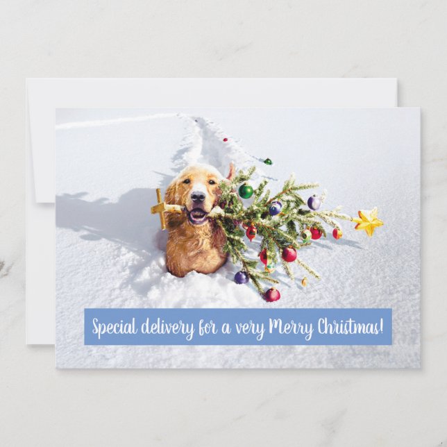 Dog With Tree In Snow Invitation (Front)