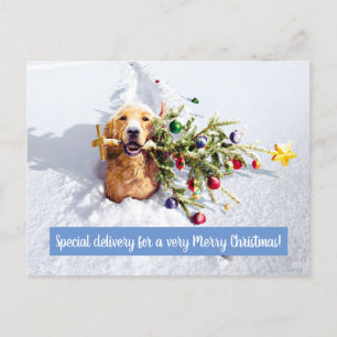Dog With Tree In Snow Invitation Postcard