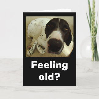 Dog years card