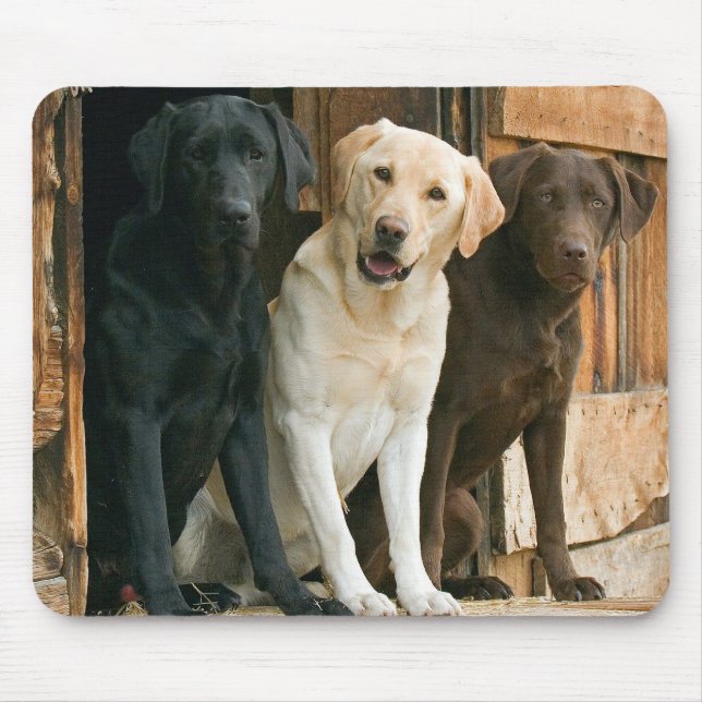 Dog Yellow Lab Black Brown Labrador Retriever  Mouse Mat (Front)