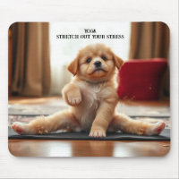Dog Yoga