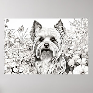 Dog Yorkshire Terrier Peaceful Nature Prairie Pet Poster