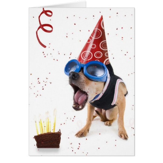 dogcake card